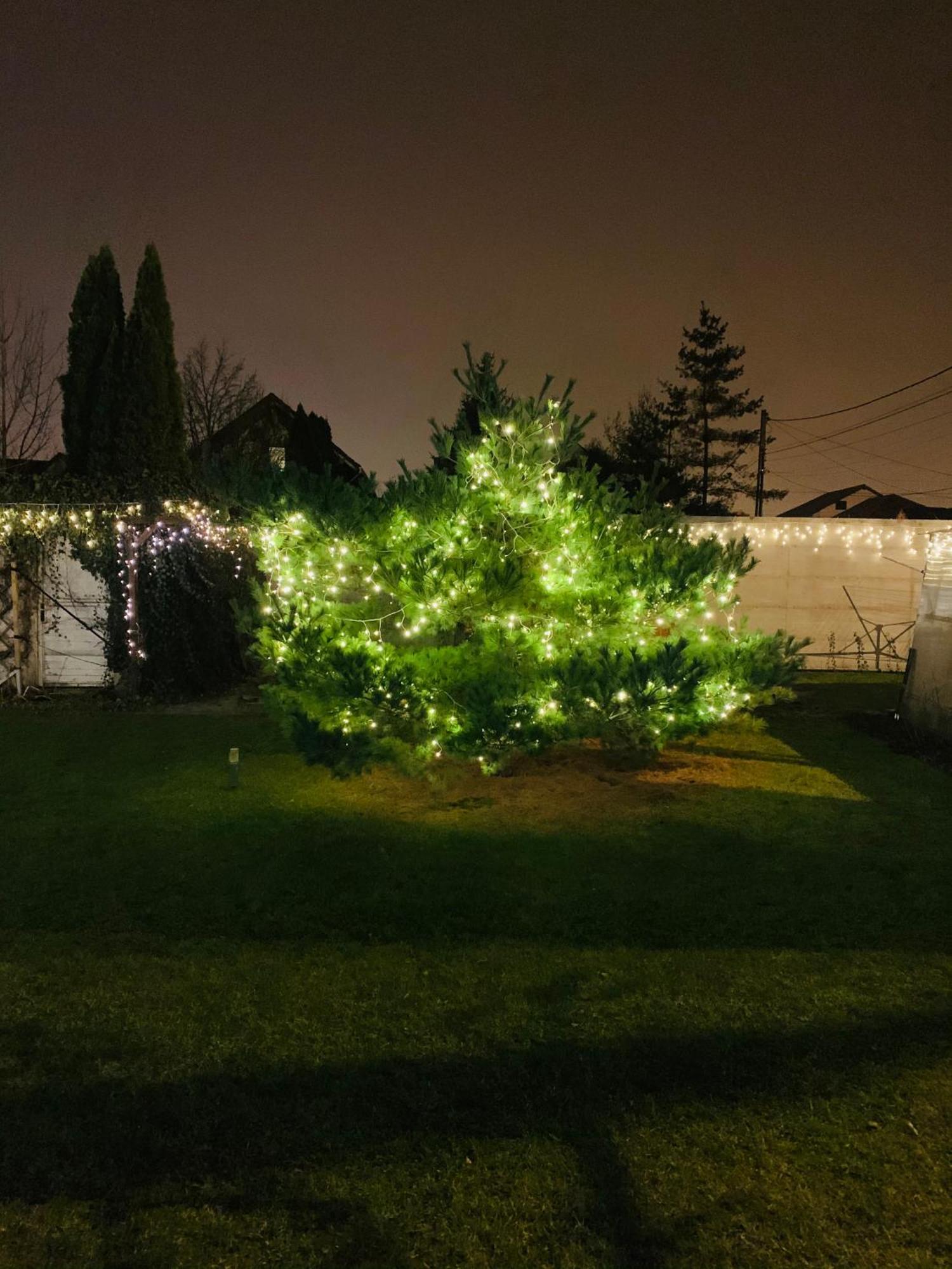 Villa Umberti Sibiu Eksteriør bilde