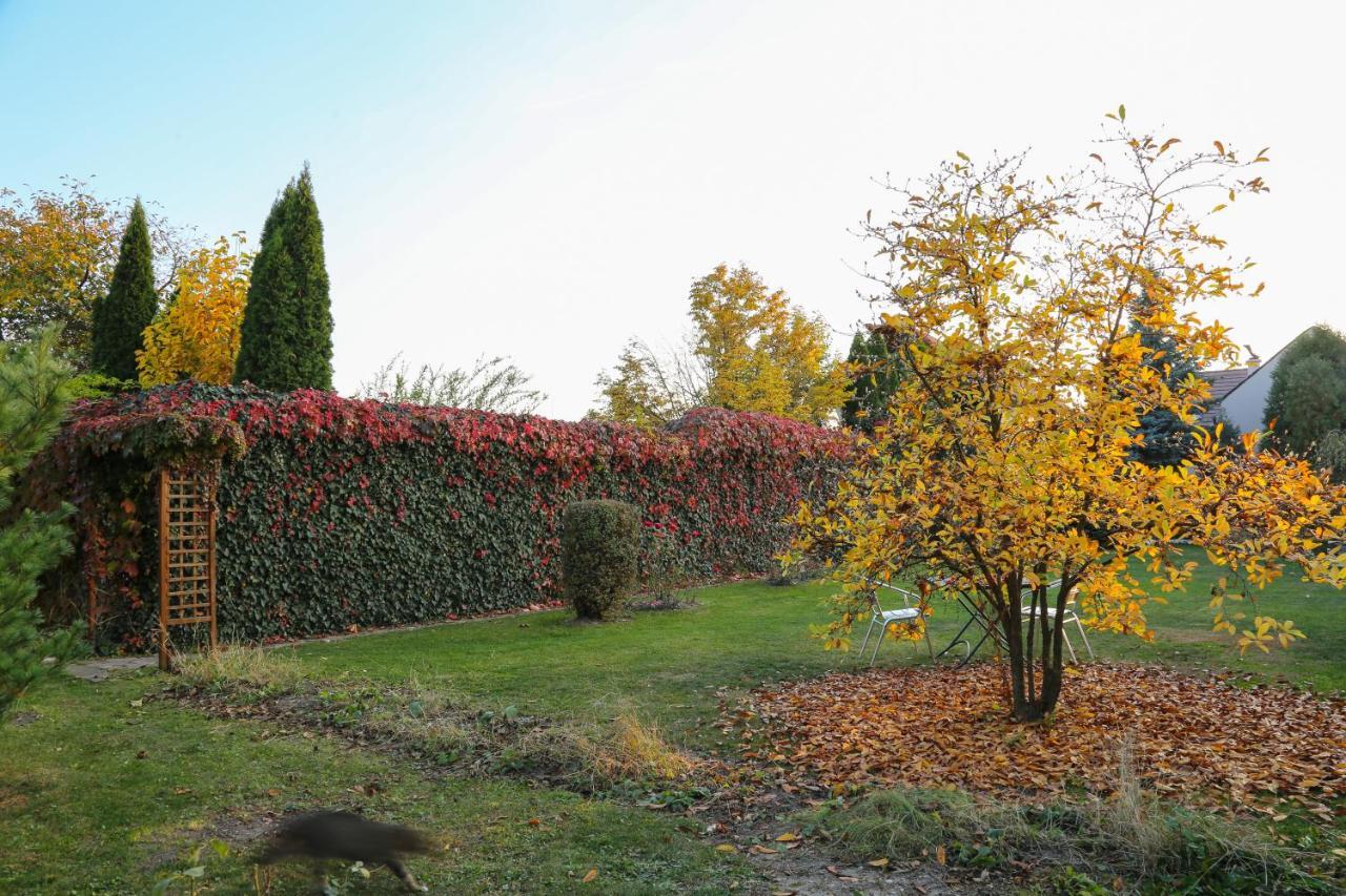 Villa Umberti Sibiu Eksteriør bilde